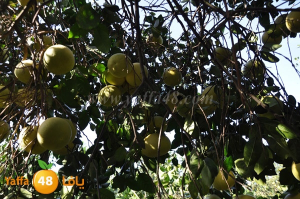 bayara visiting (17).JPG